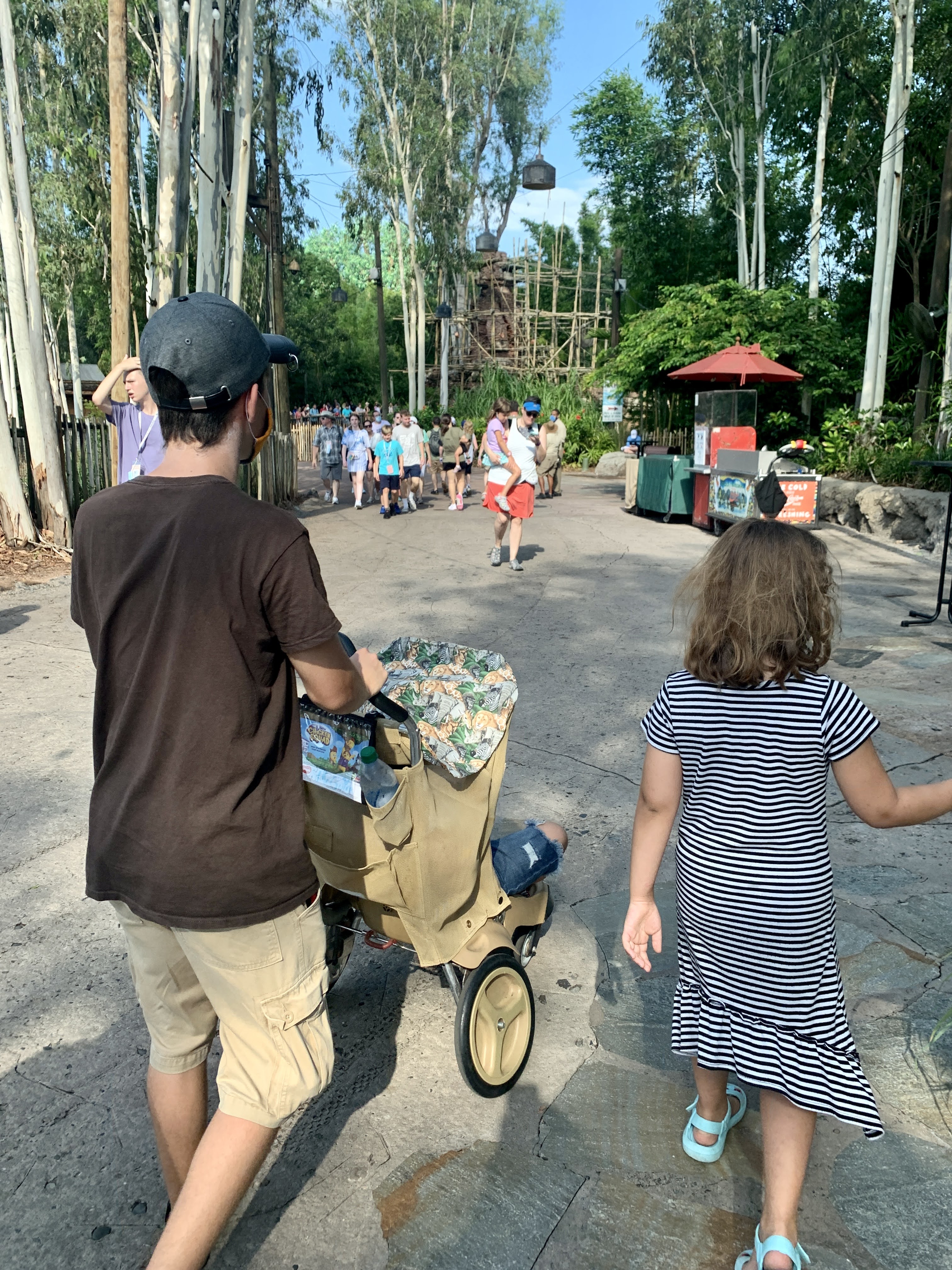 Animal Kingdom